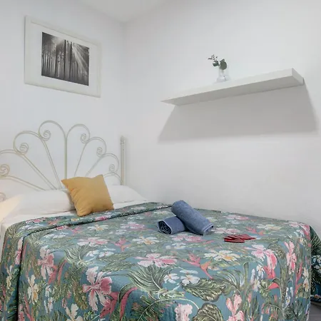 Avenida 3* 콘일데라프론테라