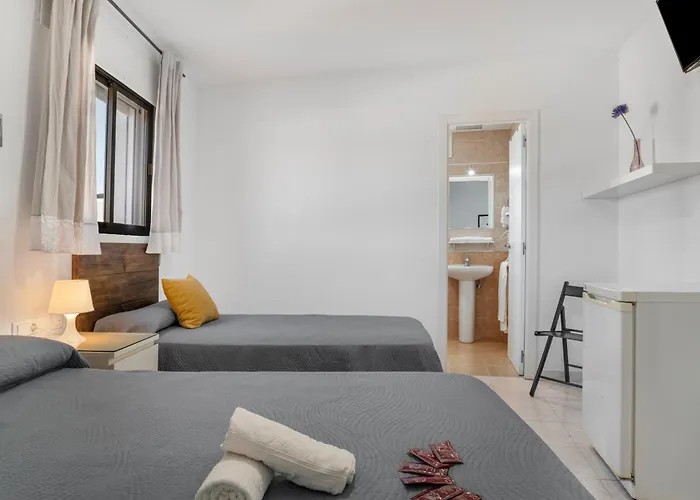 Avenida בית הארחה