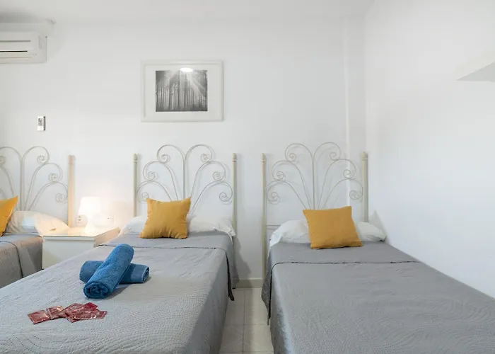 Avenida בית הארחה