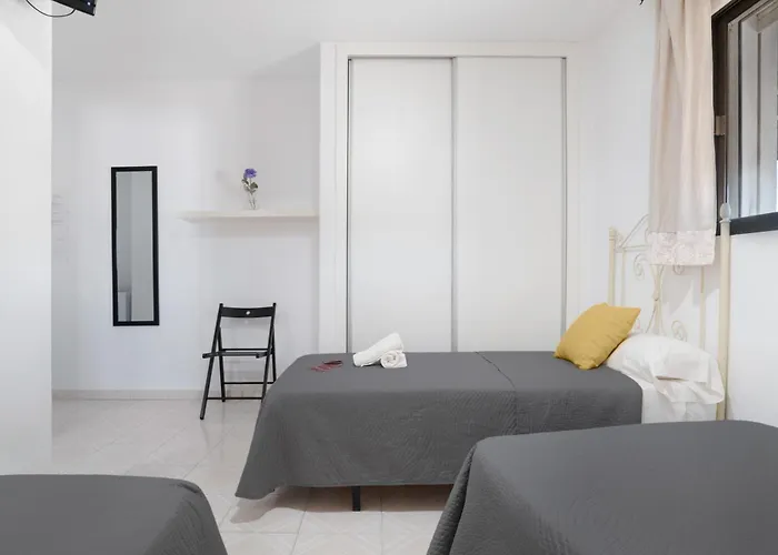 בית הארחה Avenida